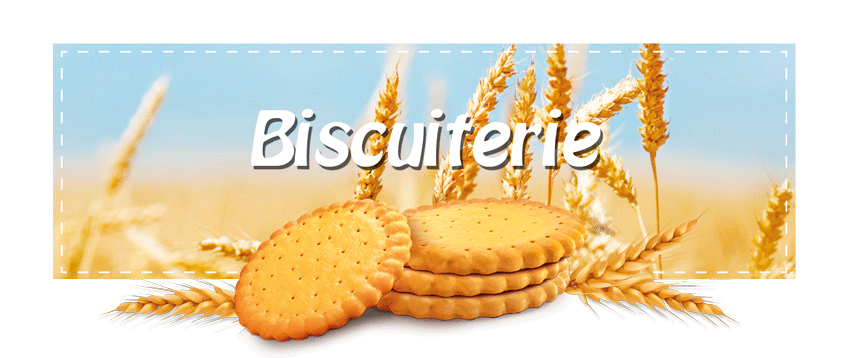 usine de production de gâteaux secs